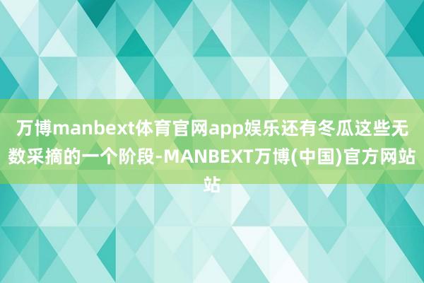 万博manbext体育官网app娱乐还有冬瓜这些无数采摘的一个阶段-MANBEXT万博(中国)官方网站
