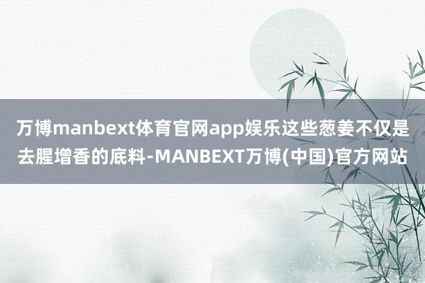 万博manbext体育官网app娱乐这些葱姜不仅是去腥增香的底料-MANBEXT万博(中国)官方网站